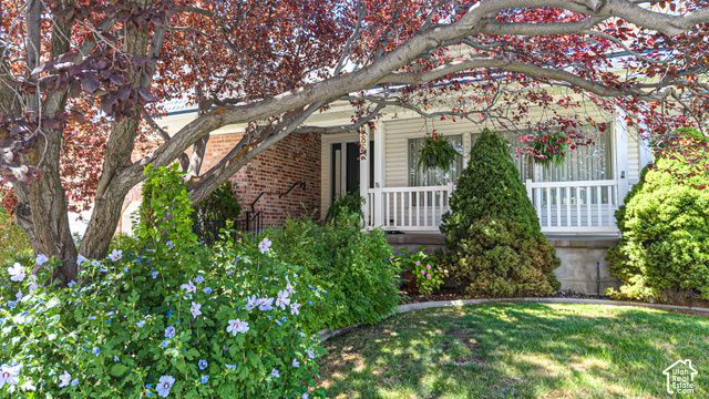 985 N MAIN, Orem, UT 84057