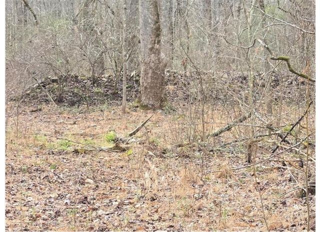277 Tippens Road, Canton, GA 30114