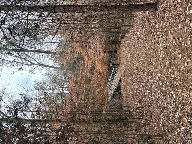 4628 Boston Ivy Drive, Fortson, GA 31808