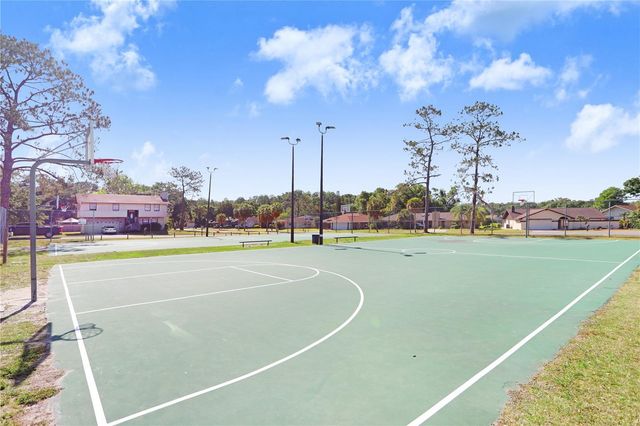 4925 IVY GLEN PLACE, Land O Lakes, FL 34639