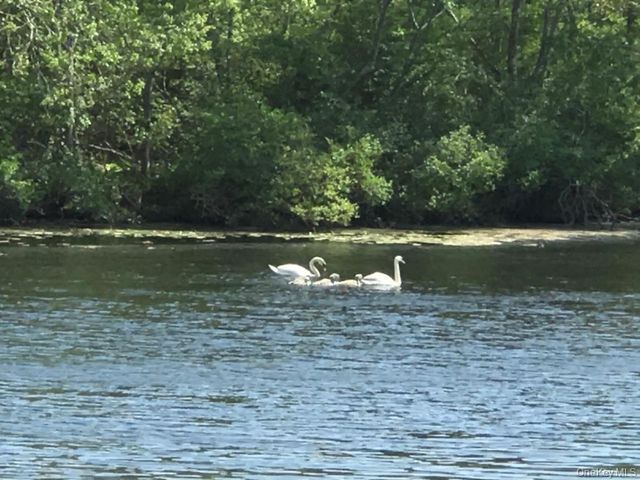 1375 W Main Street, Riverhead, NY 11901