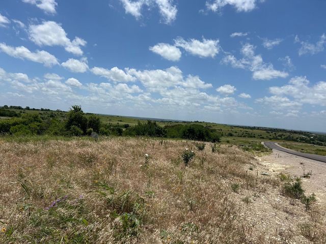 2521 Tom Chaney Drive, Granbury, TX 76049