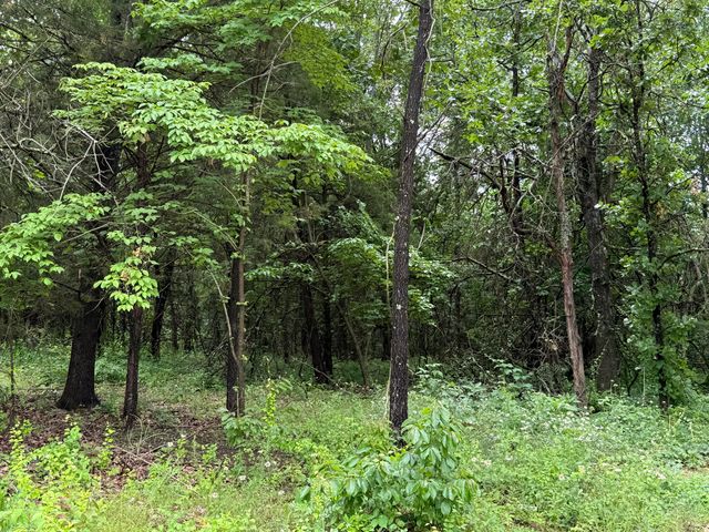 113 Dogwood Street, Cabool, MO 65689