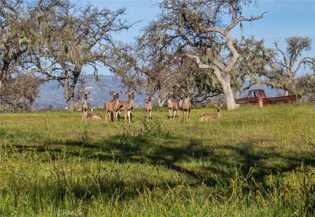 930 Windwood Road, Paso Robles, CA 93446