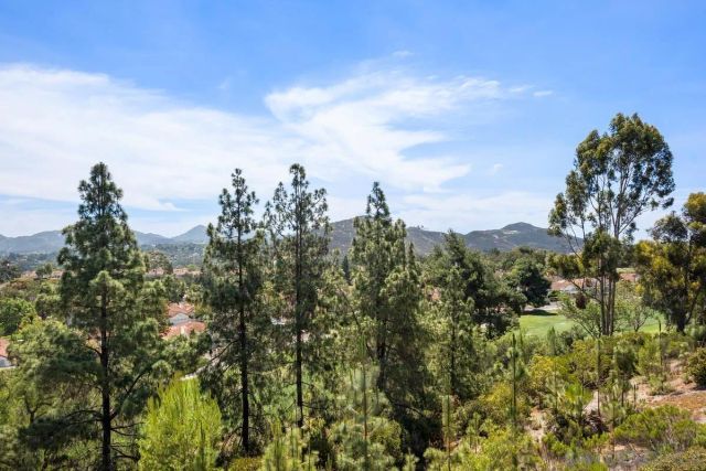 12394 Fairway Pointe Row, San Diego, CA 92128