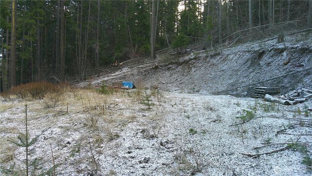 1941 Timber Mountain Loop, Cle Elum, WA 98922