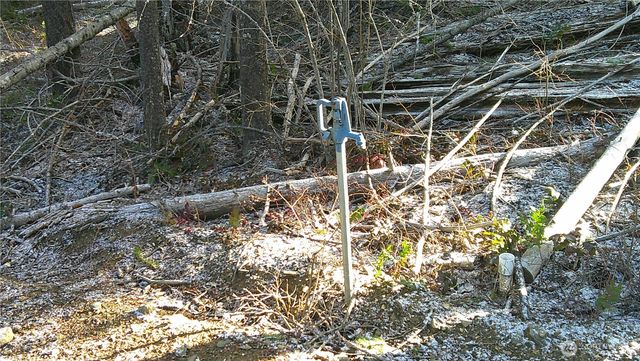 1941 Timber Mountain Loop, Cle Elum, WA 98922