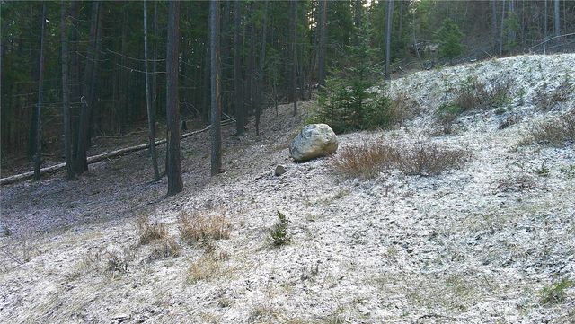 1941 Timber Mountain Loop, Cle Elum, WA 98922