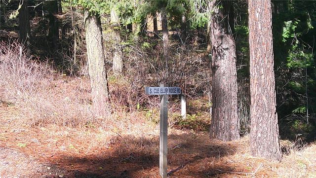 1941 Timber Mountain Loop, Cle Elum, WA 98922