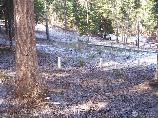 1941 Timber Mountain Loop, Cle Elum, WA 98922