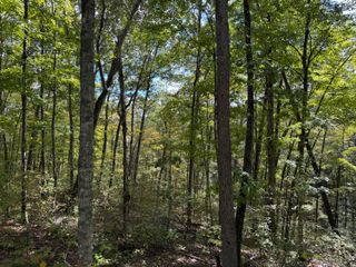 Lot 87,88,89 Sandstone Point Trail, Monticello, KY 42633