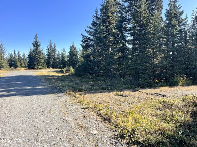 72715 Kingair Avenue, Anchor Point, AK 99556