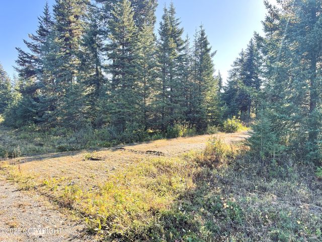 72715 Kingair Avenue, Anchor Point, AK 99556