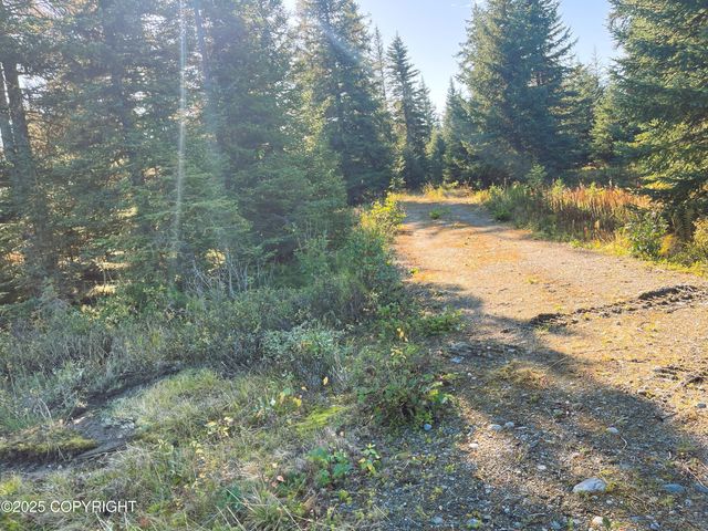 72715 Kingair Avenue, Anchor Point, AK 99556