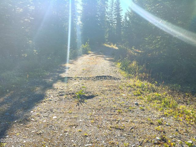 72715 Kingair Avenue, Anchor Point, AK 99556