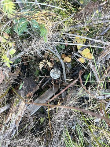 72715 Kingair Avenue, Anchor Point, AK 99556