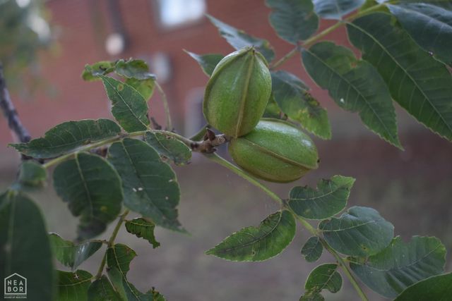 2476 County Road 604, Jonesboro, AR 72404