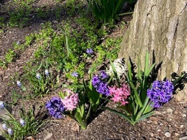 2991 Ojibwa Trail, Peninsula Twp, MI 49686