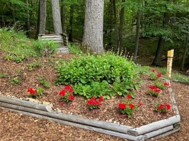 2991 Ojibwa Trail, Peninsula Twp, MI 49686