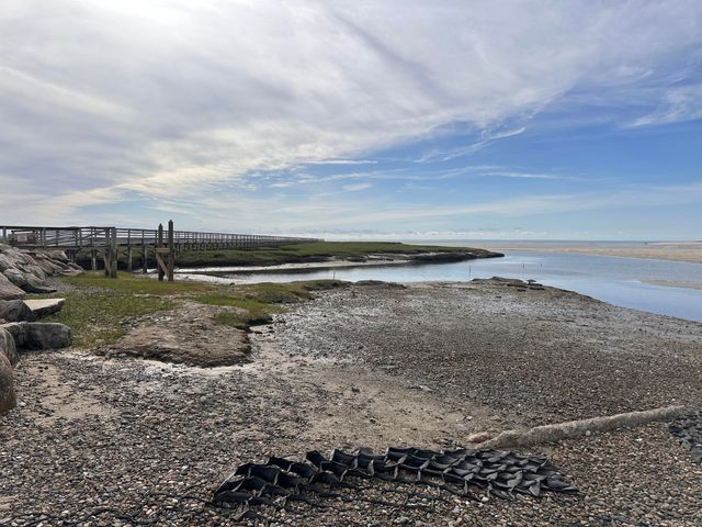 19 Elmcroft Way, Yarmouth Port, MA 02675