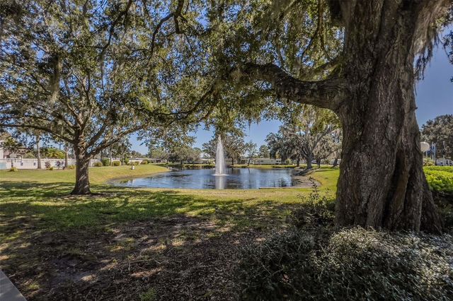 101 MANGO COVE, Leesburg, FL 34748