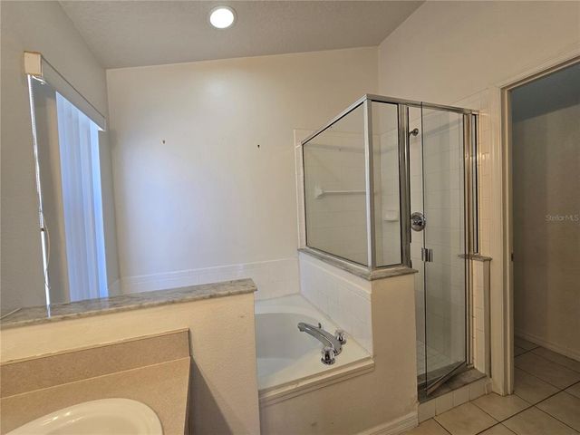 252 SADDLE RIDGE DRIVE, Davenport, FL 33896
