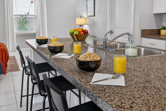 6115 APPLE SNAIL AVENUE, New Port Richey, FL 34653