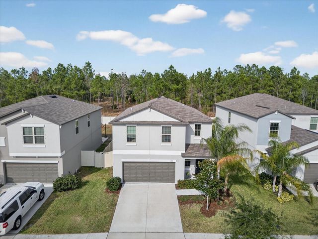 6115 APPLE SNAIL AVENUE, New Port Richey, FL 34653