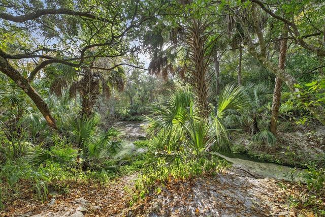 6115 APPLE SNAIL AVENUE, New Port Richey, FL 34653