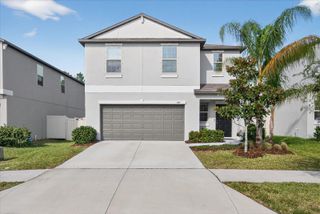 6115 APPLE SNAIL AVENUE, New Port Richey, FL 34653