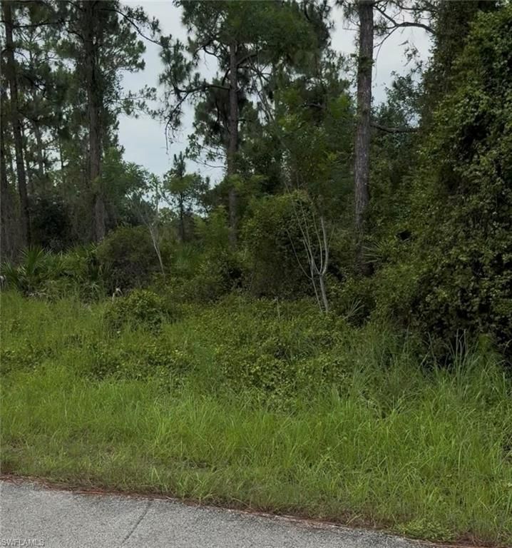 2018 Leroy AVE, ALVA, FL 33920 — photo 4