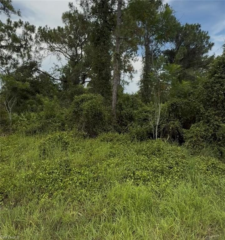 2018 Leroy AVE, ALVA, FL 33920 — photo 5