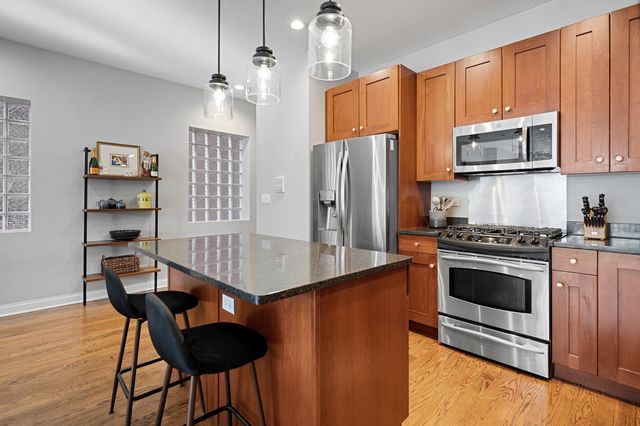 849 N Paulina Street 1, Chicago, IL 60622