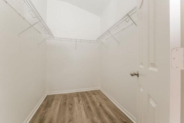 31703 Forest Oak Park Court, Conroe, TX 77385