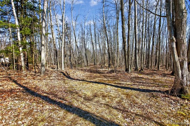 2633 S Stevens Road, Greenbush, MI 48738