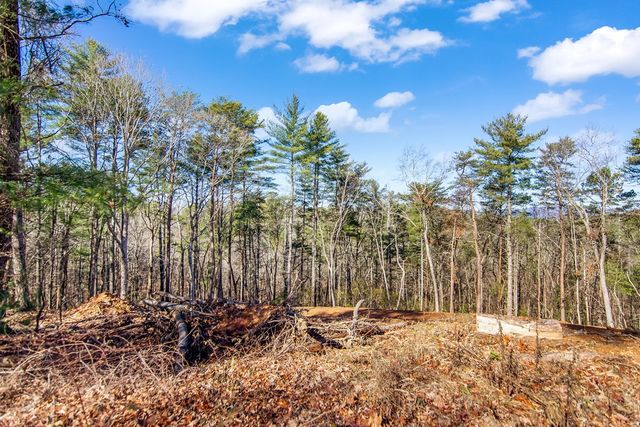 LT 10R Whispering Oaks Drive, Ellijay, GA 30540