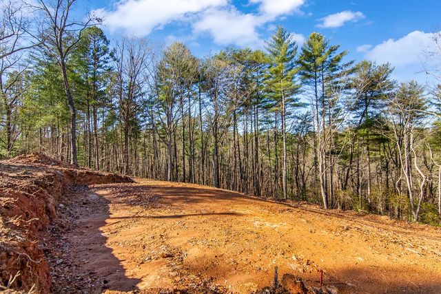 LT 10R Whispering Oaks Drive, Ellijay, GA 30540