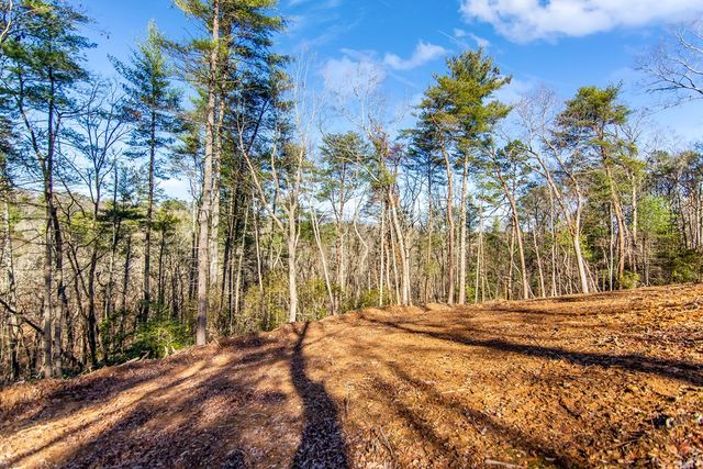 LT 10R Whispering Oaks Drive, Ellijay, GA 30540