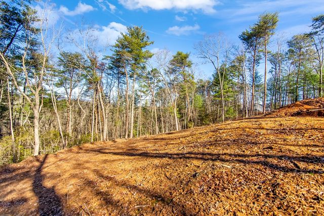 LT 10R Whispering Oaks Drive, Ellijay, GA 30540