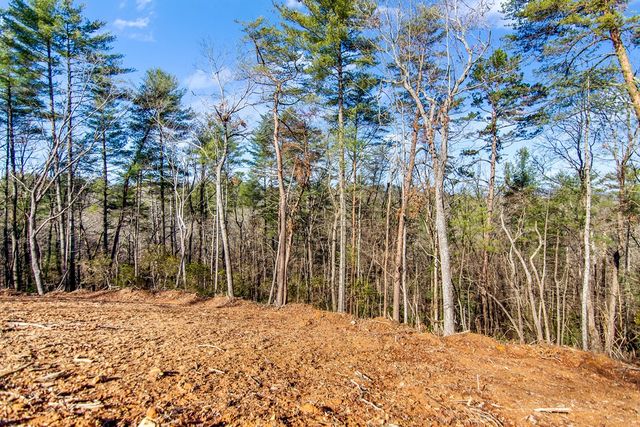 LT 10R Whispering Oaks Drive, Ellijay, GA 30540