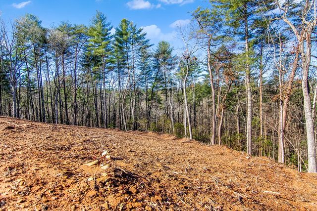LT 10R Whispering Oaks Drive, Ellijay, GA 30540