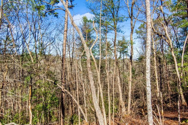 LT 10R Whispering Oaks Drive, Ellijay, GA 30540