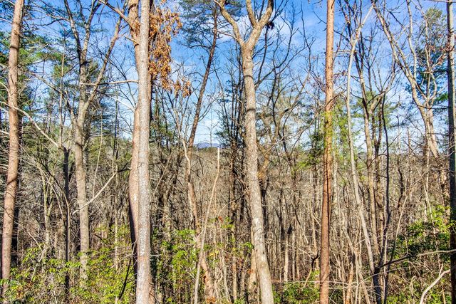 LT 10R Whispering Oaks Drive, Ellijay, GA 30540