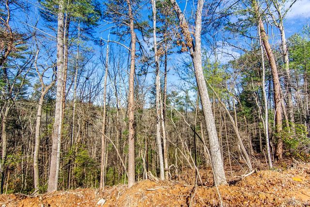 LT 10R Whispering Oaks Drive, Ellijay, GA 30540