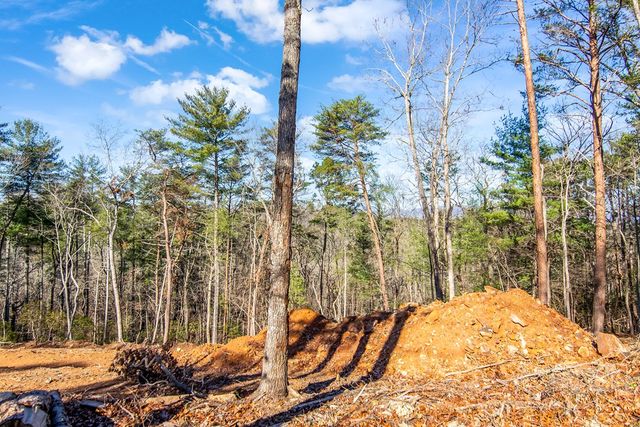 LT 10R Whispering Oaks Drive, Ellijay, GA 30540