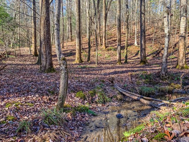LT 10R Whispering Oaks Drive, Ellijay, GA 30540