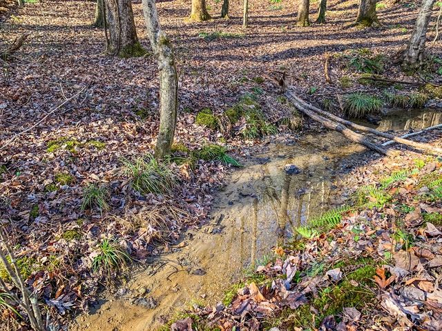 LT 10R Whispering Oaks Drive, Ellijay, GA 30540