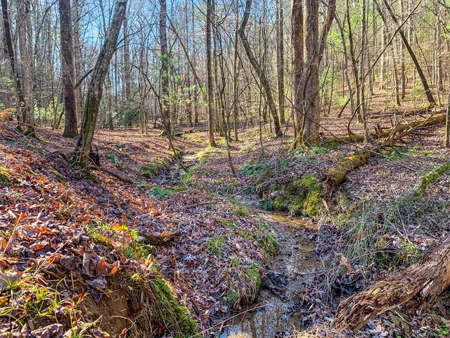 LT 10R Whispering Oaks Drive, Ellijay, GA 30540