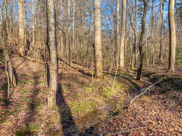 LT 10R Whispering Oaks Drive, Ellijay, GA 30540