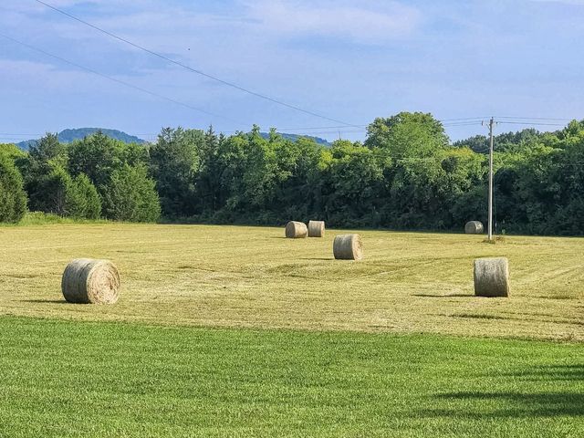 2784 Joe Reeves Rd, Lewisburg, TN 37091
